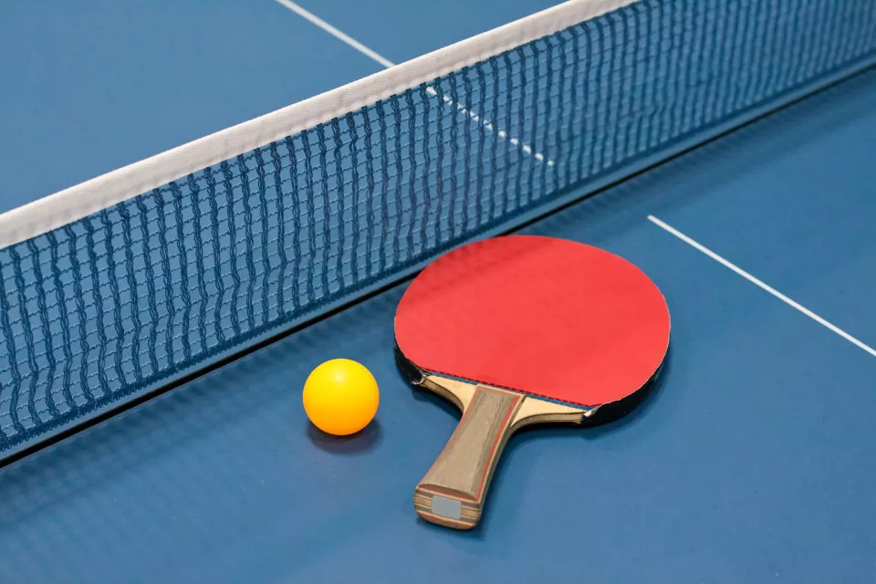Le Tennis de Table : guide pour les novices